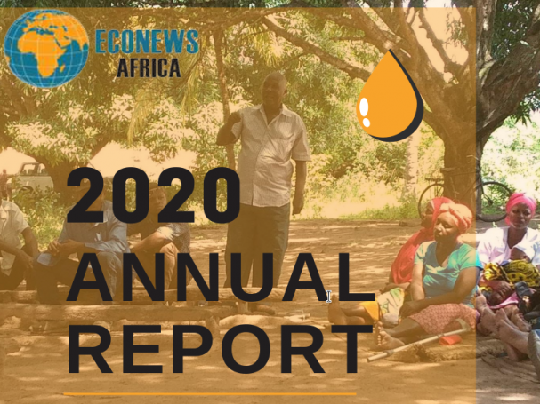 Econews 2020 Annual Report